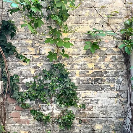 Lägenhet Brody Str 13